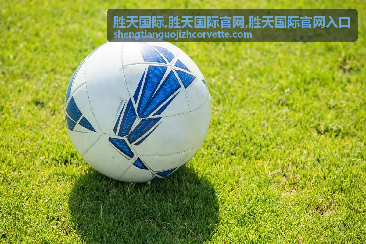 胜天国际官网入口 场景图一