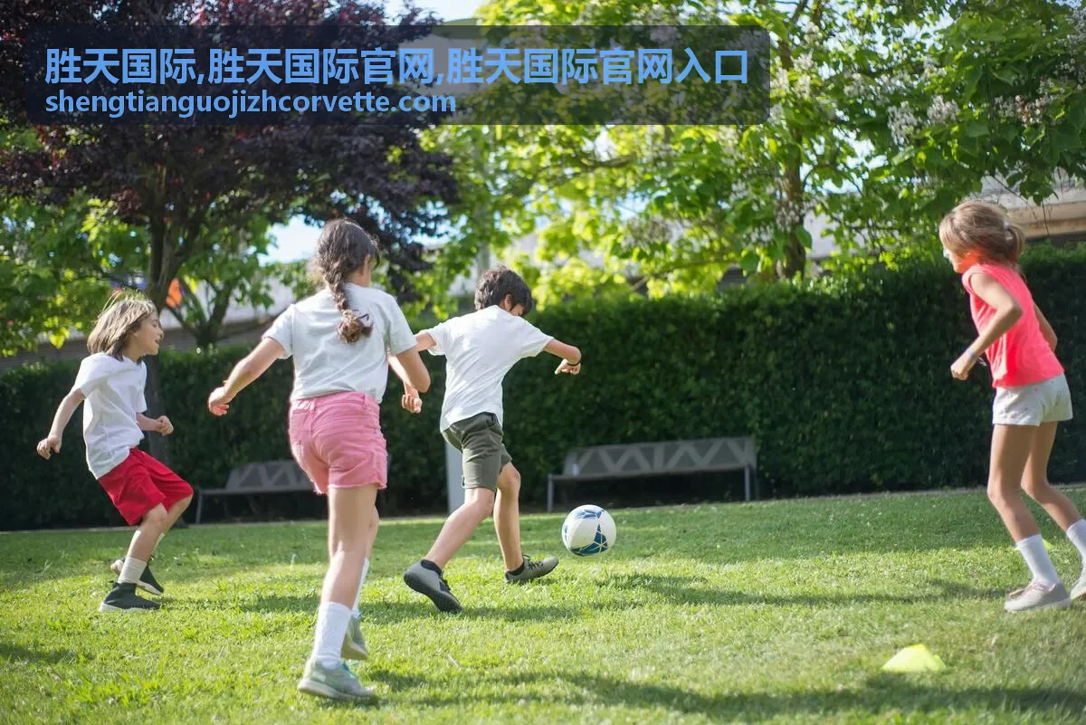 胜天国际官网入口 场景图二